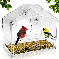 bird feeder