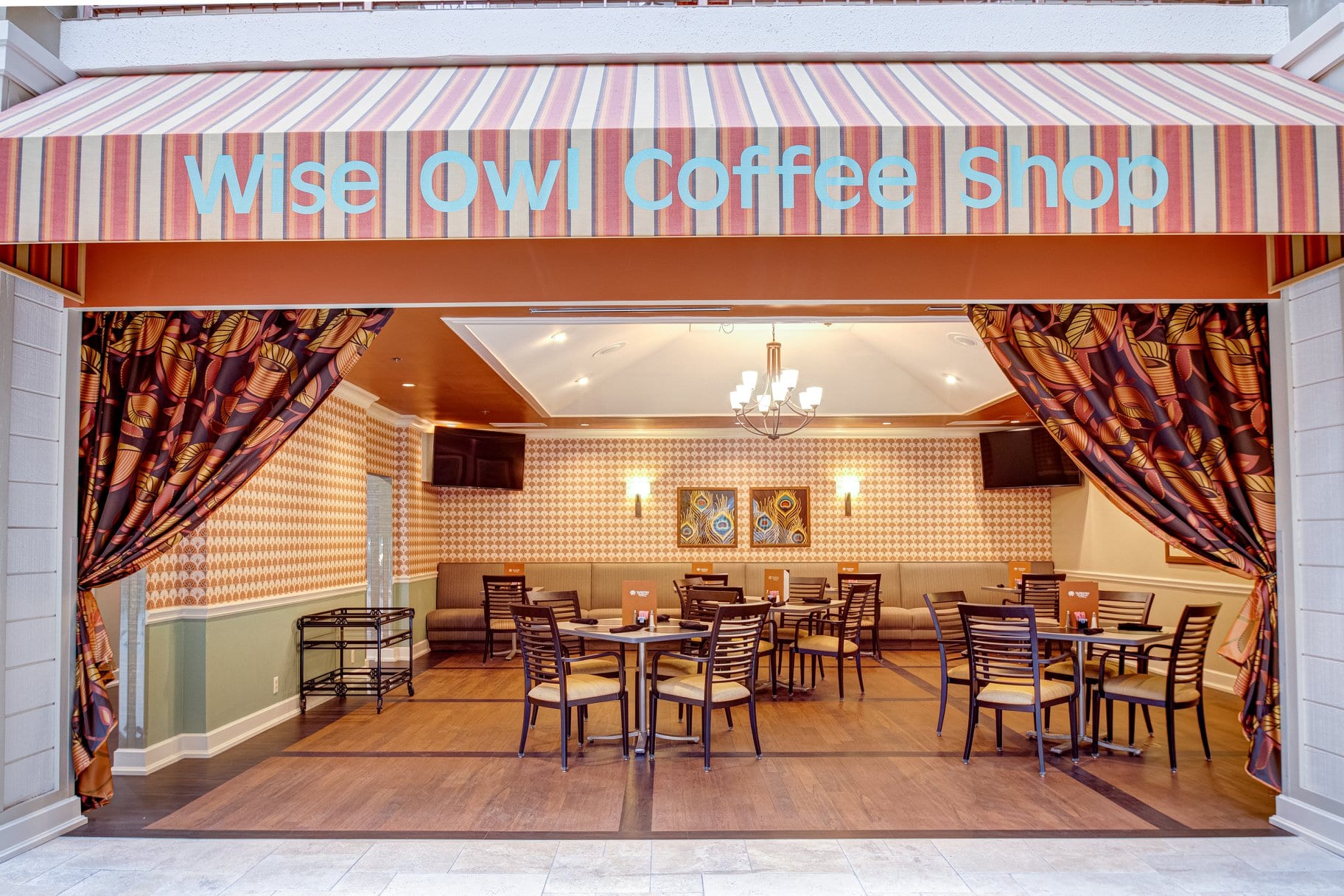 Wise Owl Coffee Shop