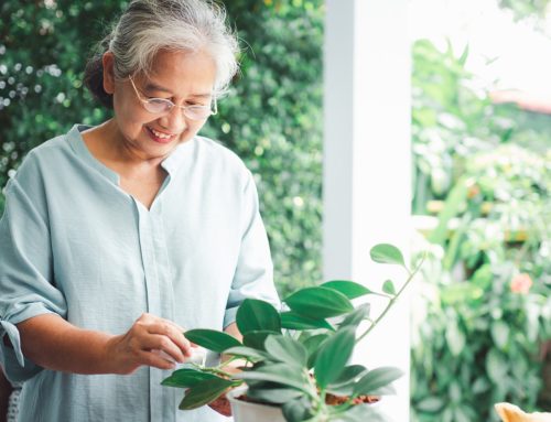 Finding Purpose and Happiness in Life: 7 Suggestions for Older Adults to Follow